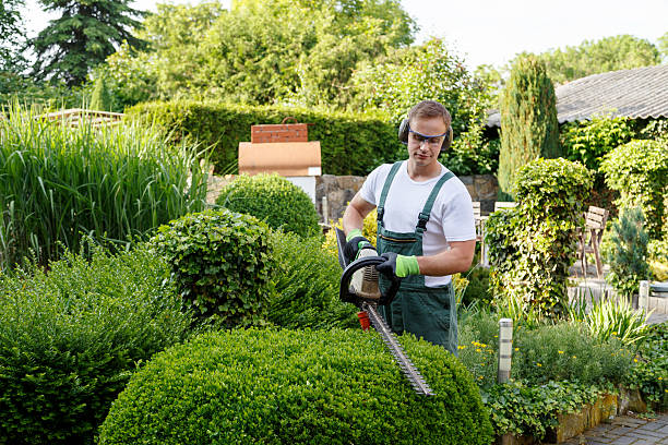 Best Landscape Design and Installation  in Mante, CA